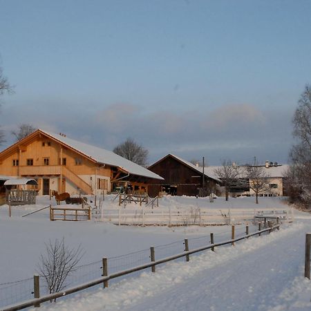 Zweilindenhof Hotel Seeshaupt Luaran gambar