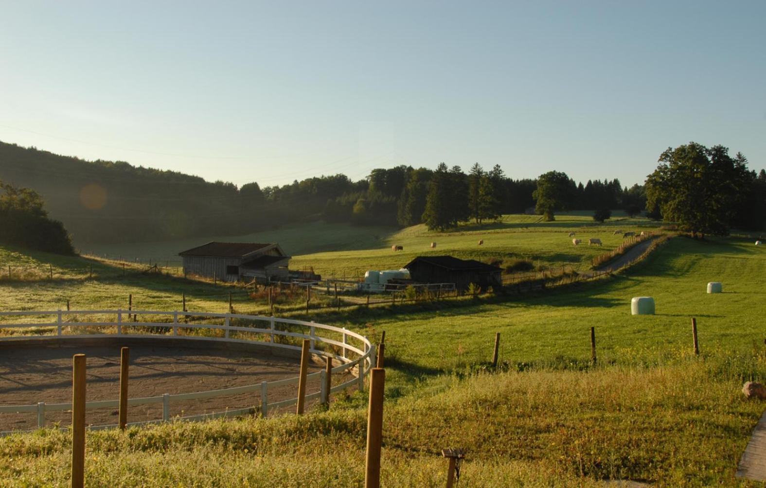 Zweilindenhof Hotel Seeshaupt Luaran gambar