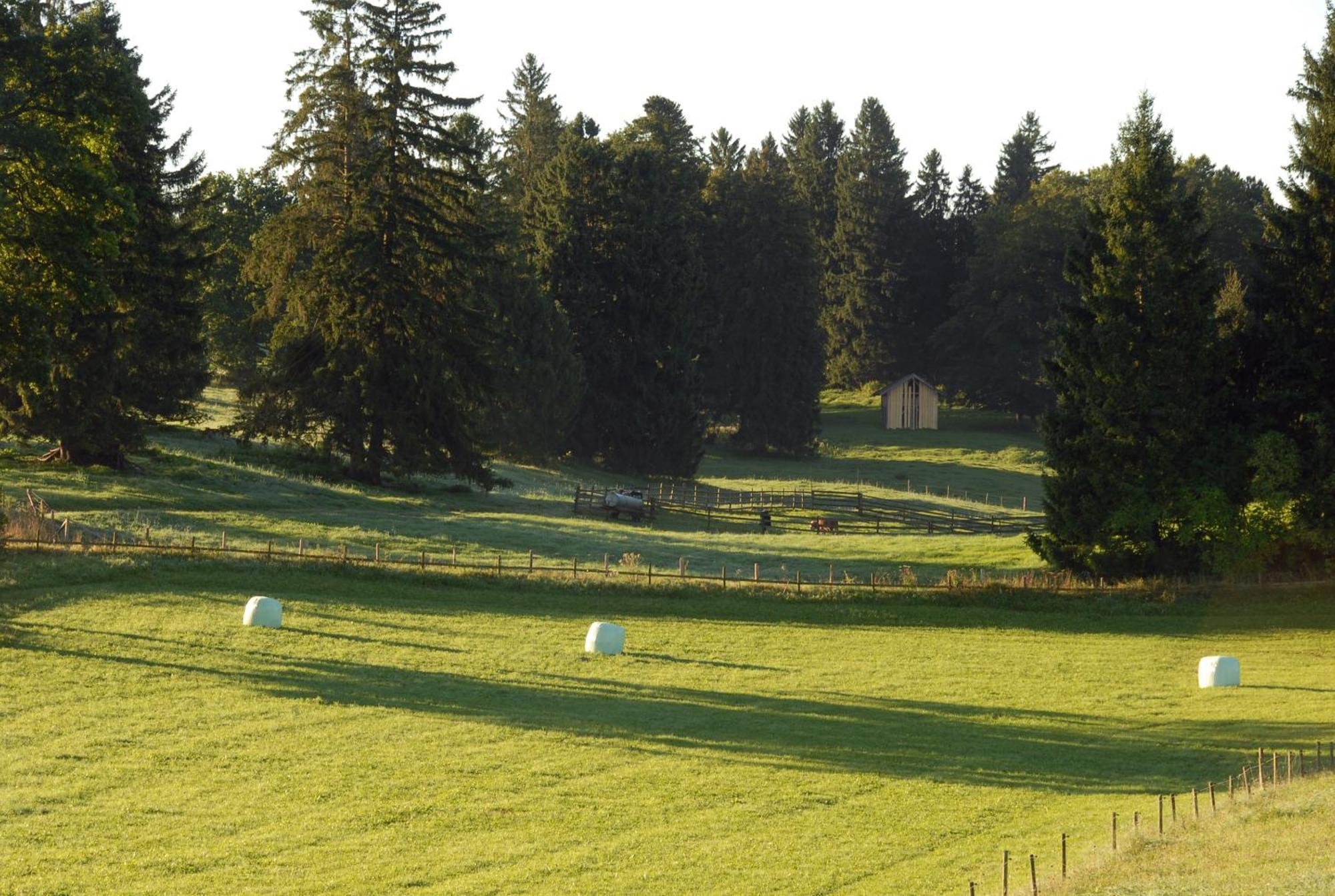 Zweilindenhof Hotel Seeshaupt Luaran gambar