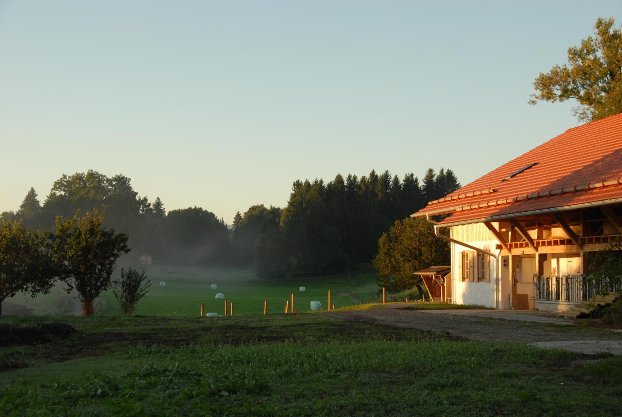 Zweilindenhof Hotel Seeshaupt Luaran gambar