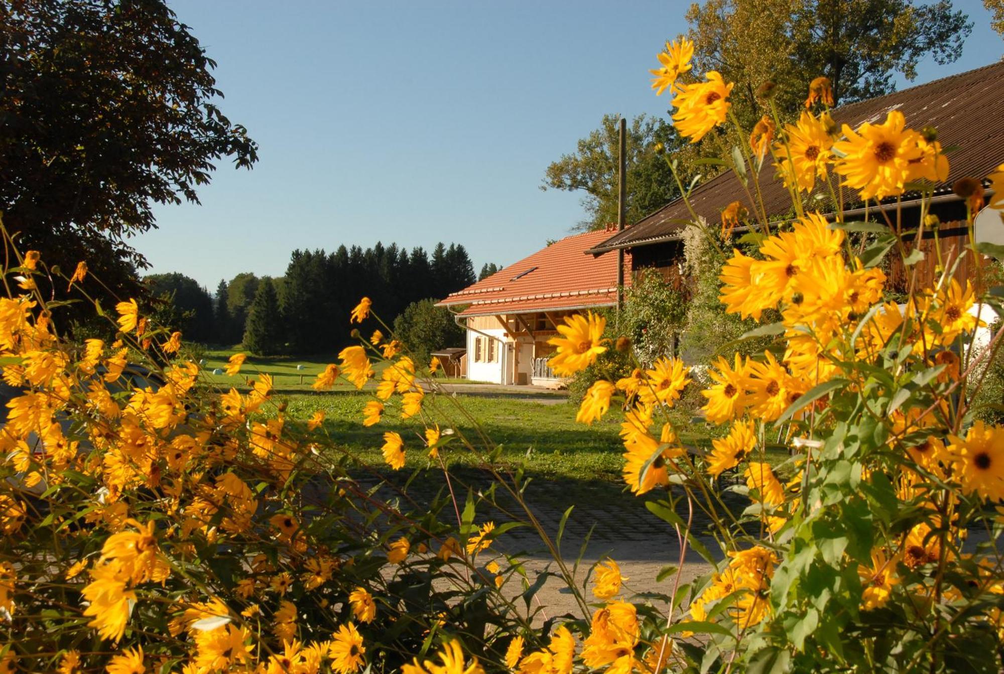 Zweilindenhof Hotel Seeshaupt Luaran gambar